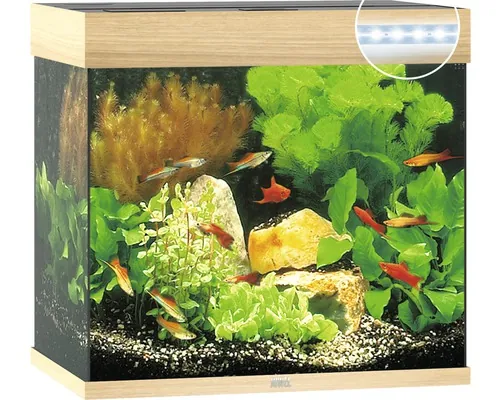 Acvariul JUWEL Lido 120 cu iluminare cu LED, pompă, filtru, încălzitor, fără dulap inferior, lemn de culoare deschisă buc