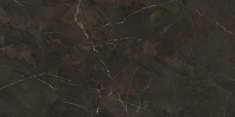 BRECCIA IMPERIALE TEXTURE 02 160X320
