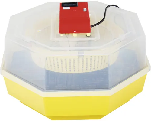 Incubator electric pentru ouă cu termohigrometru Cleo 5 buc