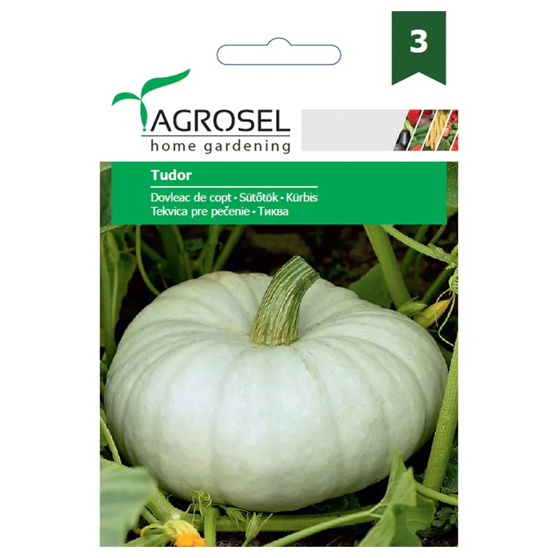 Seminte de dovleac, Agrosel Tudor