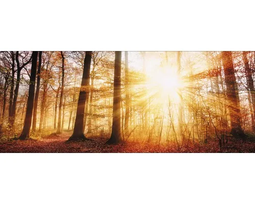 Tablou sticlă Pure Living Autumn Lake 30x80 cm buc