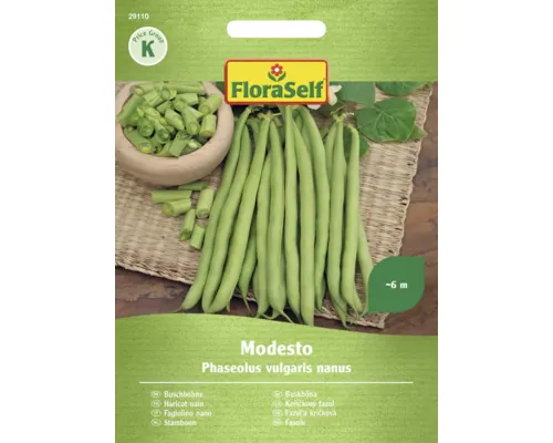Semințe legume FloraSelf fasole modesta buc
