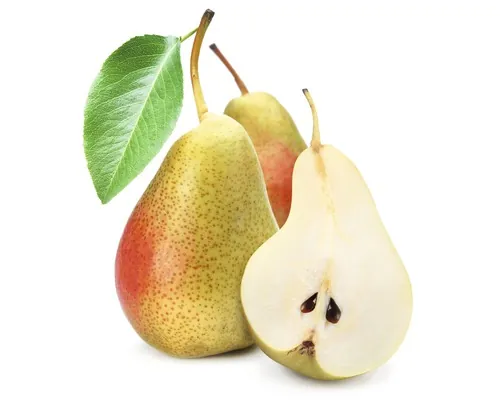 Bio Pom fructifer păr FloraSelf Bio Pyrus communis 'Clapps Liebling' H 130-150 cm Co 7,5 L buc