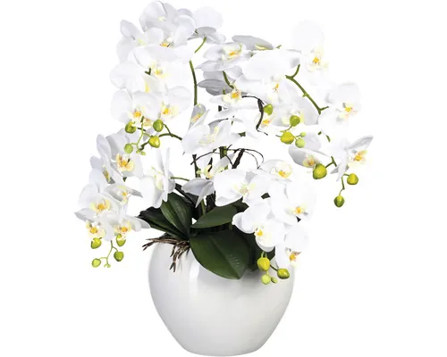 Plantă artificială Orhidee fluture Phalaenopsis în vas ceramic H 56 cm alb buc