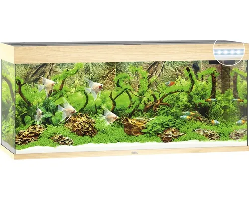 Acvariul JUWEL Rio 240 cu iluminare cu LED, pompă, filtru, încălzitor, fără dulap inferior, lemn de culoare deschisă buc