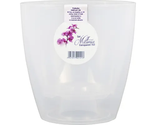 Set mască și ghiveci pentru orhidee Militonia plastic Ø 16,3 cm H 16,3 cm transparent buc