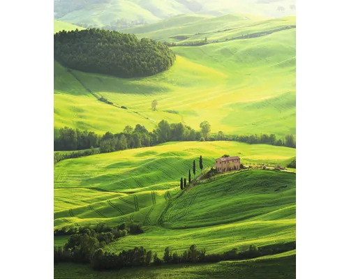 Fototapet vlies Special Decoration Toscana 4 243x280 cm buc