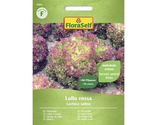 Semințe de salată Lollo Rossa FloraSelf buc