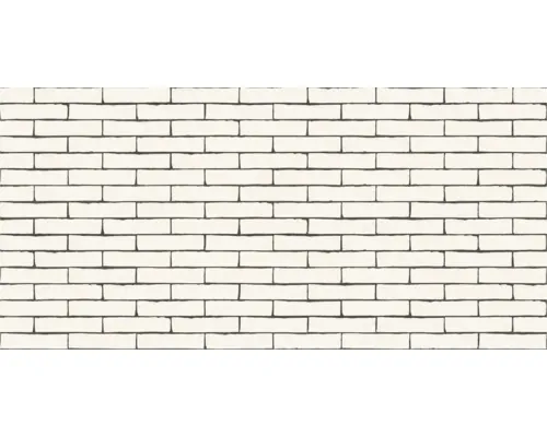 Cărămidă aparentă Terca AGORA Super White 21,5x6,5 cm buc