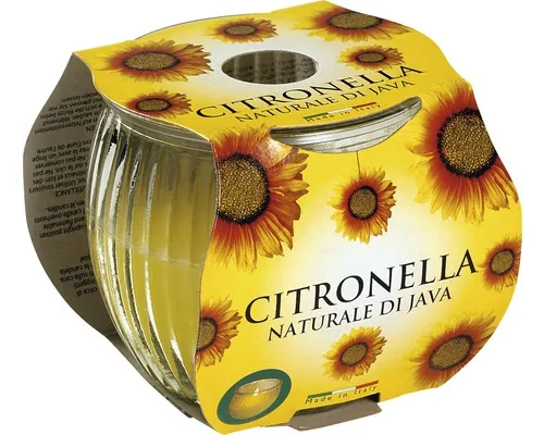 Lumânare LCA Citronella Maiorca în pahar durata de ardere 25 h buc