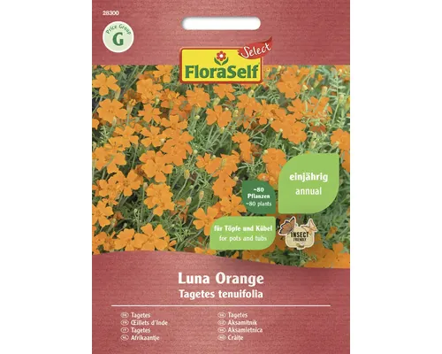 Semințe flori FloraSelf Select crăițe Luna portocalii buc