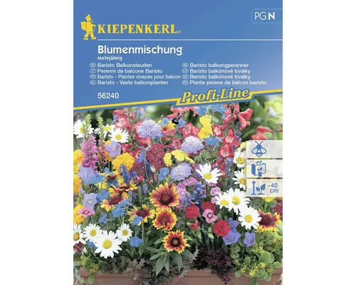 Semințe flori Kiepenkerl perene de balcon buc