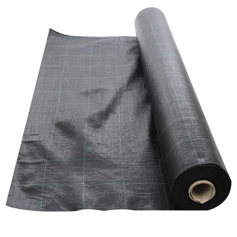 Plasa mulcire, antiburuieni, Agritela, polietilena, negru, 1.65 x 100 m