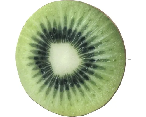 Pernă scaun Solevito Velvet Kiwi Ø 40 cm buc