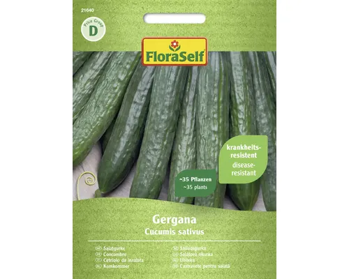 Semințe legume FloraSelf castraveți de salată Gergana buc