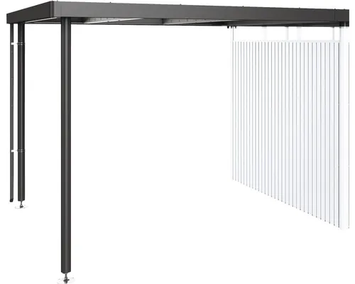Acoperiș lateral pentru magazie Biohort Highline H4 282x275 cm gri închis metalizat buc