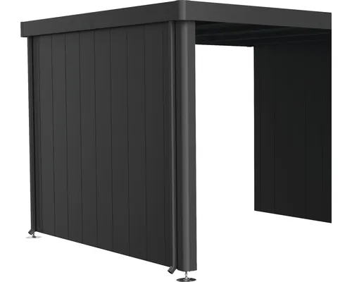 Perete lateral pentru acoperiș lateral Biohort Neo 3A/3B/3C/3D gri închis buc