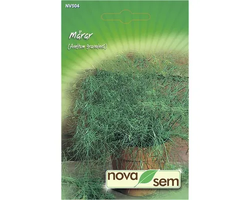 Semințe de mărar Novasem buc