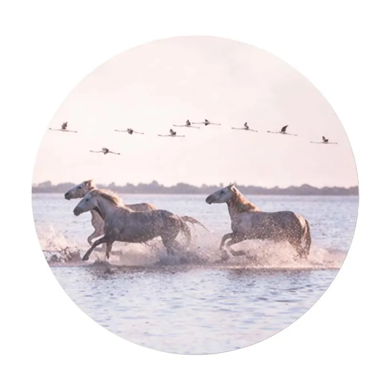 Tablou D 70 cm, horse i, sticla