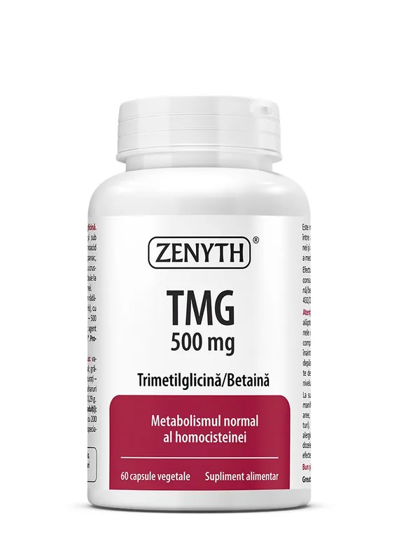 TMG, 500 mg, 60 capsule, Zenyth