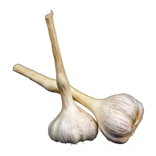 Bio Usturoi 150g