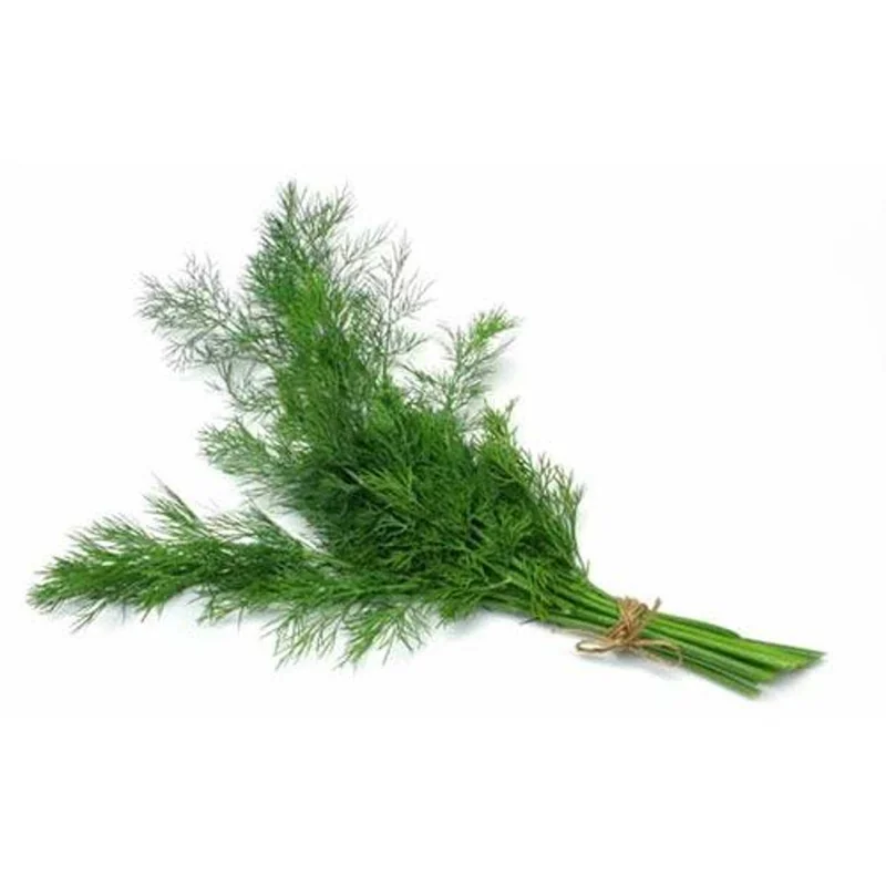 Legatura Marar Verde