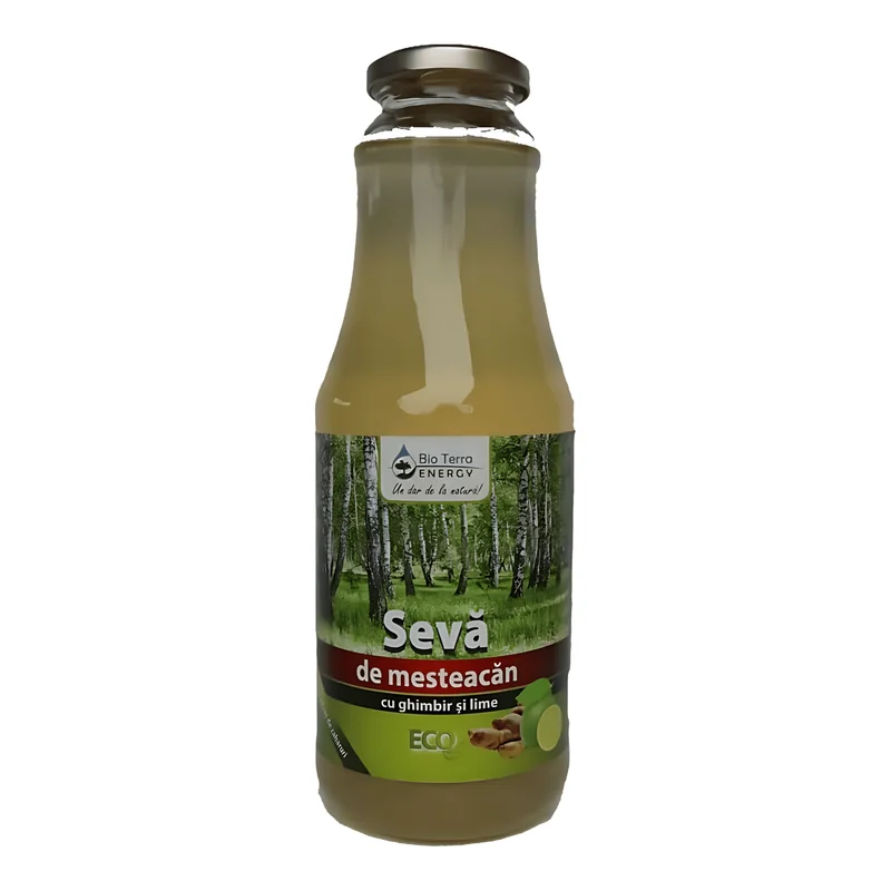 Bio Terra Seva Mesteacan Eco Terra Ghimbir Lime Bio 1000ml