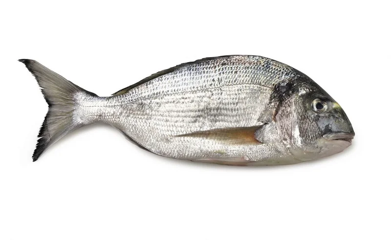 Regala Dorada 1000g