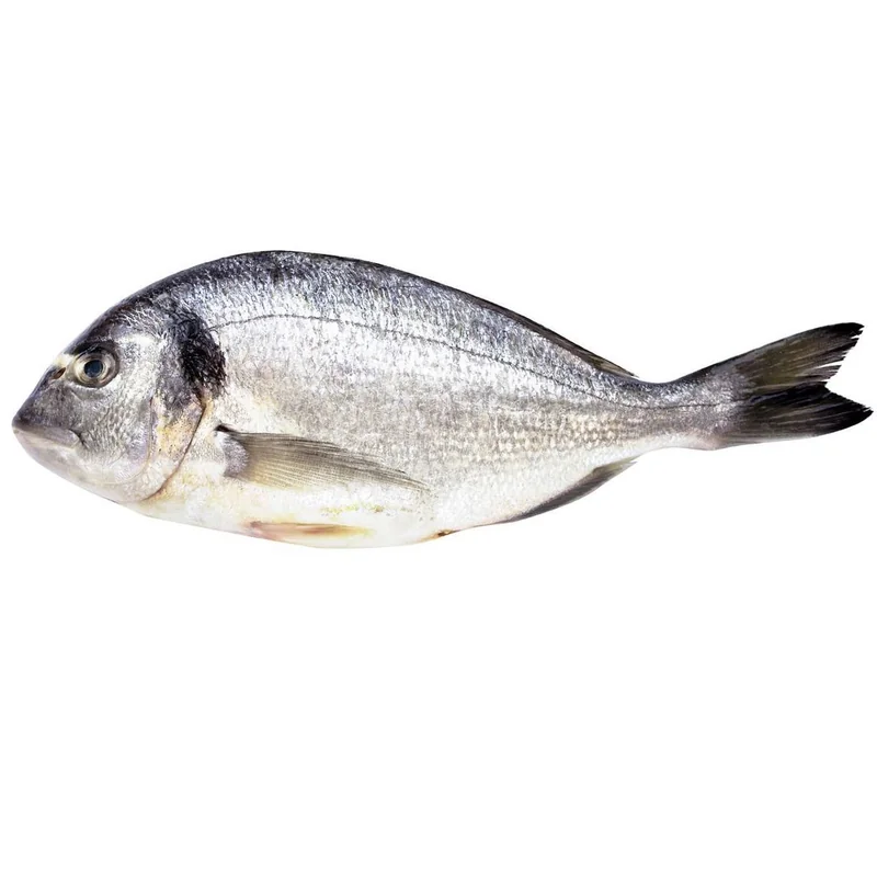 Regala Dorada Salbatica Eviscerata 1000g