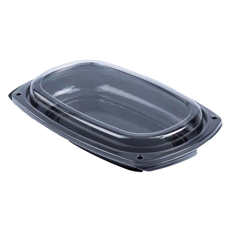 GLOBAL PLAST 10 Platouri Capace 31x25 Cm 25cm 840g
