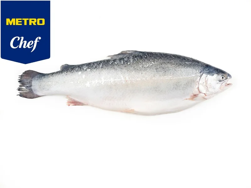 METRO CHEF Pastrav Somonat Fiord Calibru 1000g